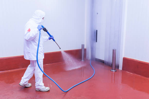 Best Driveway Pressure Washing  in Imperial, NE